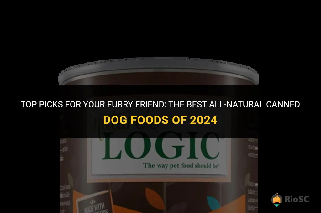 best all natural canned dog food