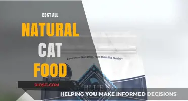 Whiskers' Delight: Unveiling the Best All-Natural Cat Food Options for Your Feline Friend