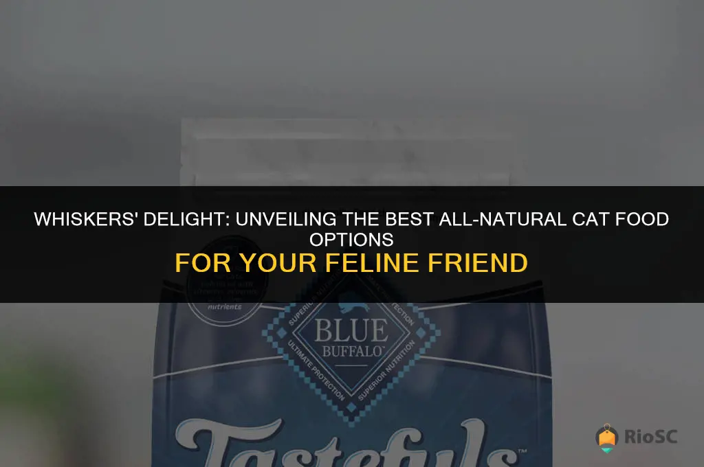 best all natural cat food