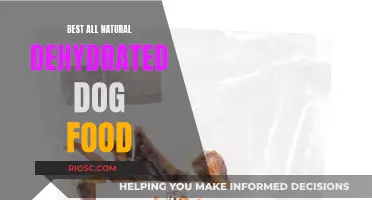 Top Picks for All-Natural Dehydrated Dog Food: Nourishing Your Pet the Healthy Way
