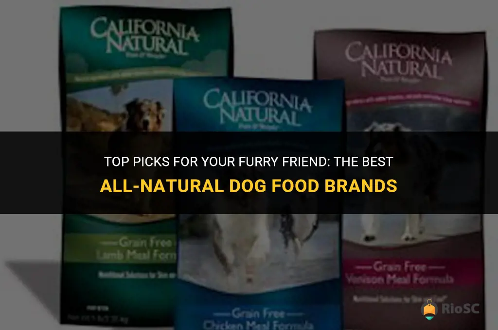 best all natural dog food brands