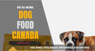 Top Picks for All-Natural Dog Food in Canada: A Comprehensive Guide