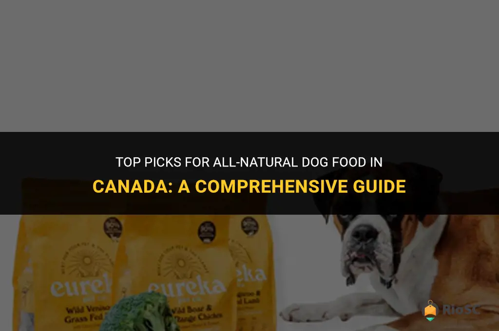 best all natural dog food canada