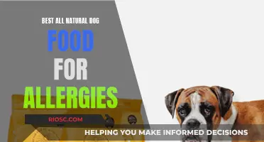 Holistic Healing: Top All-Natural Dog Foods to Combat Allergies