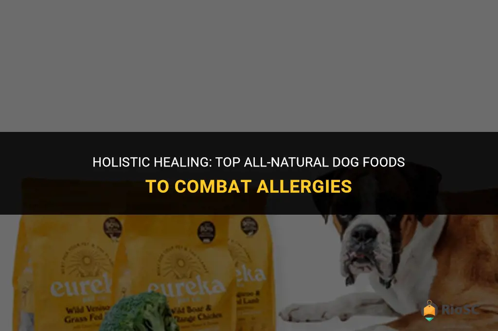 best all natural dog food for allergies