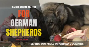 Nourishing Your German Shepherd: Top Picks for All-Natural Dog Food