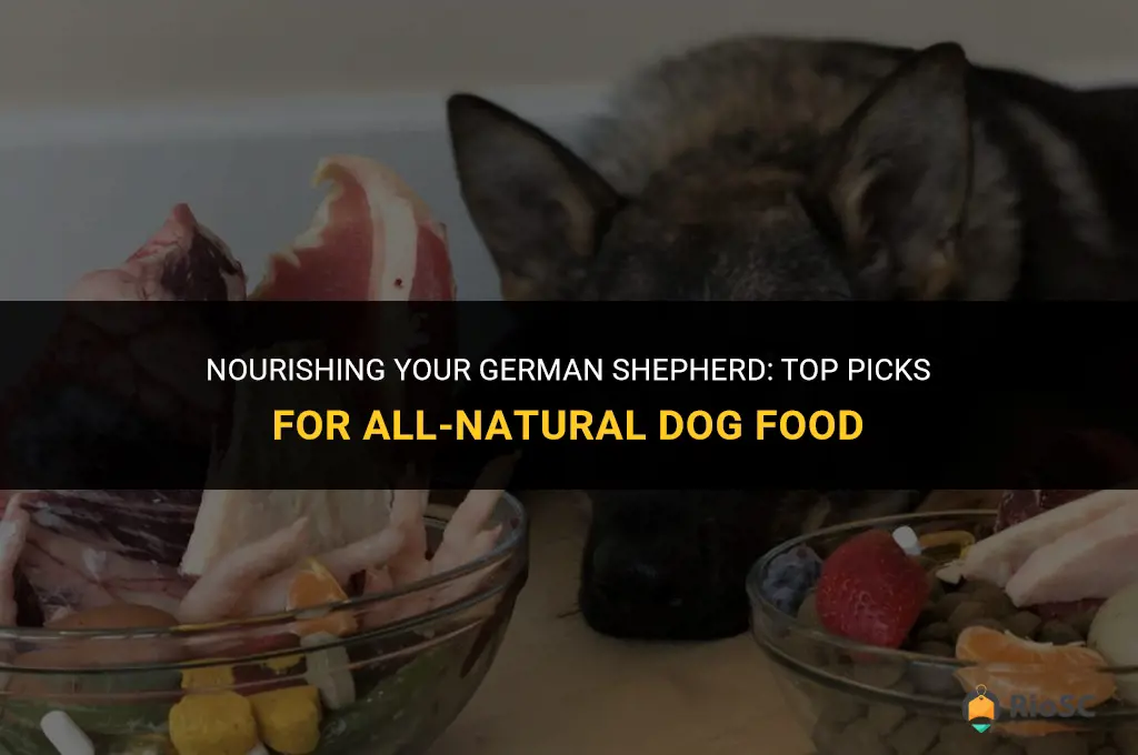 best all natural dog food for german shepherds
