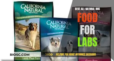 Top Picks for All-Natural Dog Food: Nourishing Your Labrador Retriever the Healthy Way