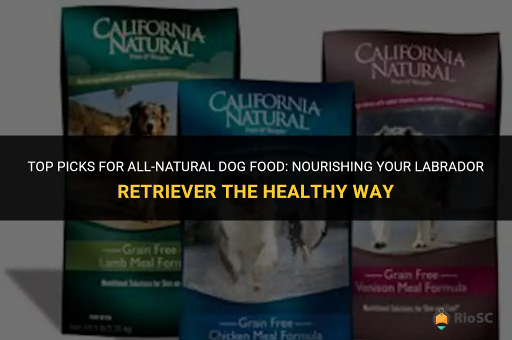 best all natural dog food for labs