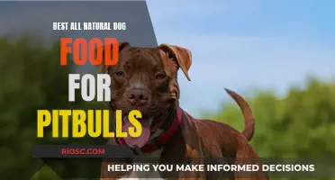 Nourishing Your Pitbull: Top Picks for All-Natural Dog Food