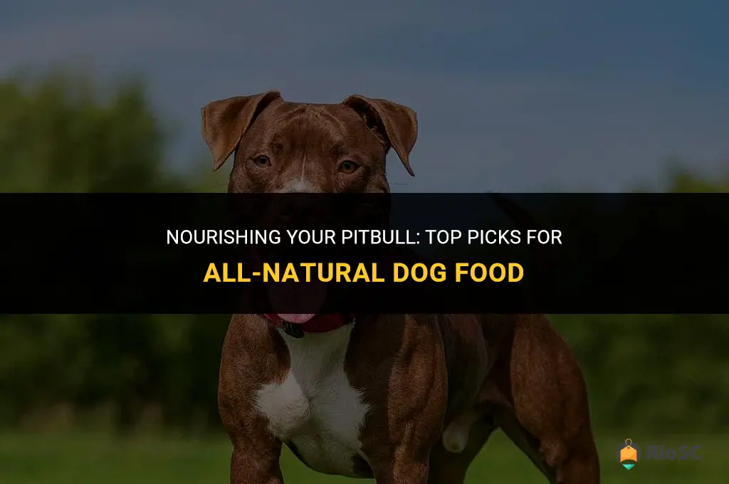best all natural dog food for pitbulls