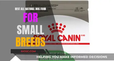 Nourishing Petite Paws: Top All-Natural Dog Food Picks for Small Breeds