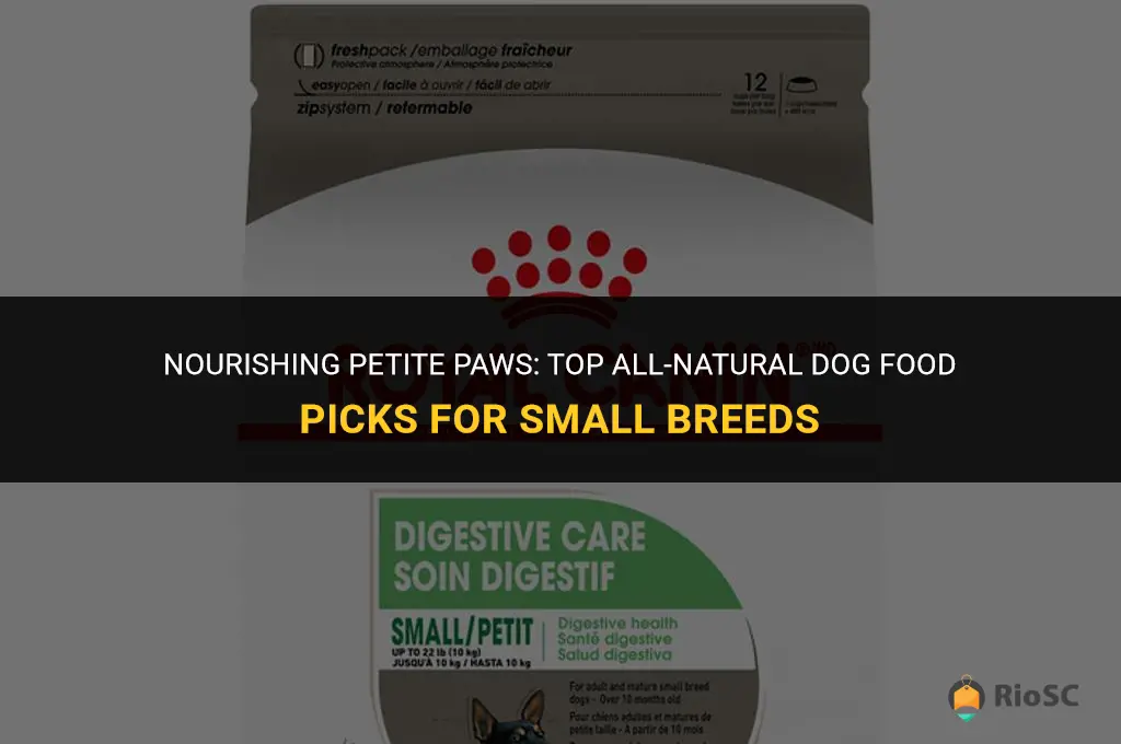 best all natural dog food for small breeds
