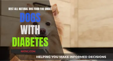 Wholesome Bites: Top Natural Dog Food Choices for Small Dogs Managing Diabetes