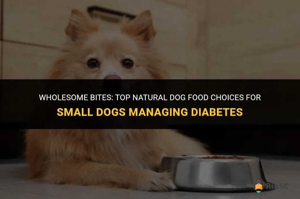 best all natural dog food for small dogs with diabetes