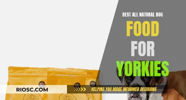 Top Picks for All-Natural Dog Food: Nourishing Your Yorkshire Terrier