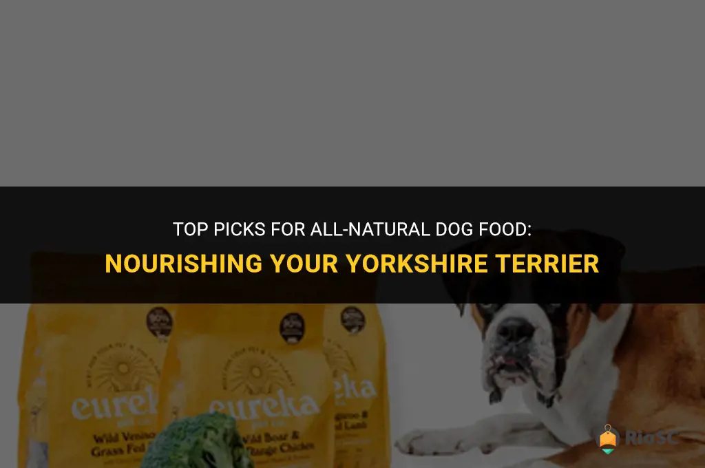 best all natural dog food for yorkies
