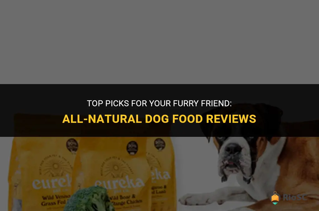 best all natural dog food reviews