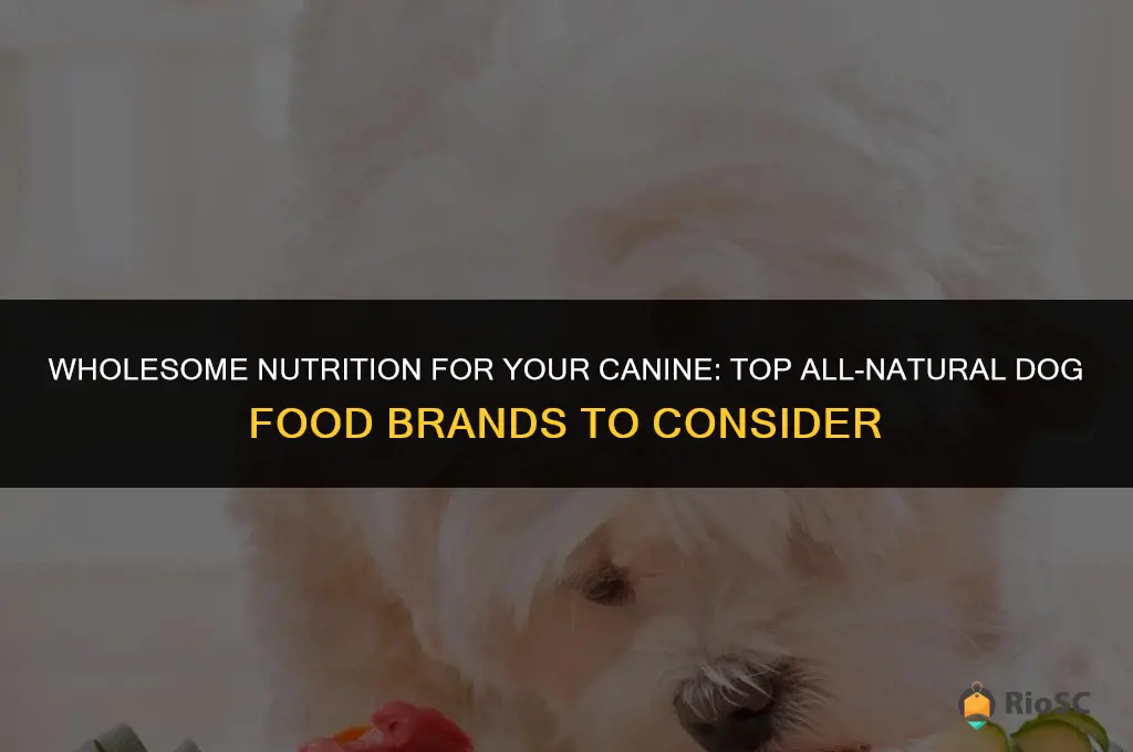 best all natural dog foods