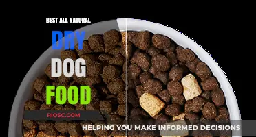 Wholesome Nutrition: Top All-Natural Dry Dog Food Options for a Healthy Canine Diet