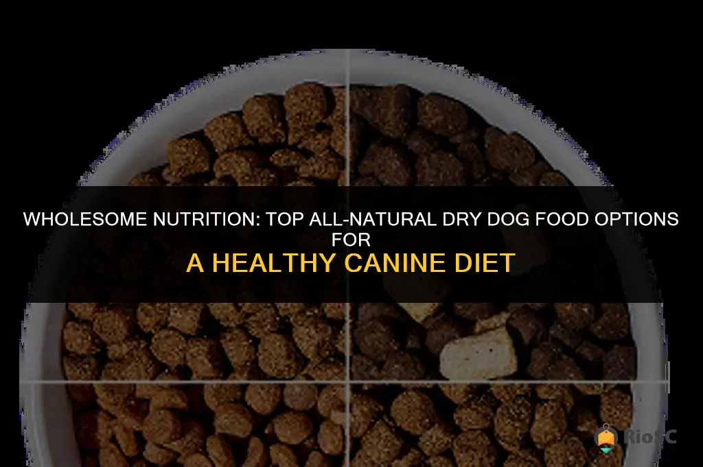 best all natural dry dog food