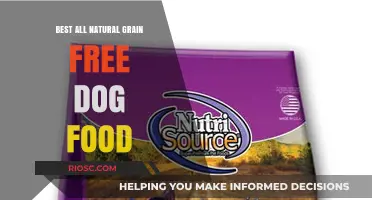 Top Picks for All-Natural Grain-Free Dog Food: Nourishing Your Pet the Healthy Way