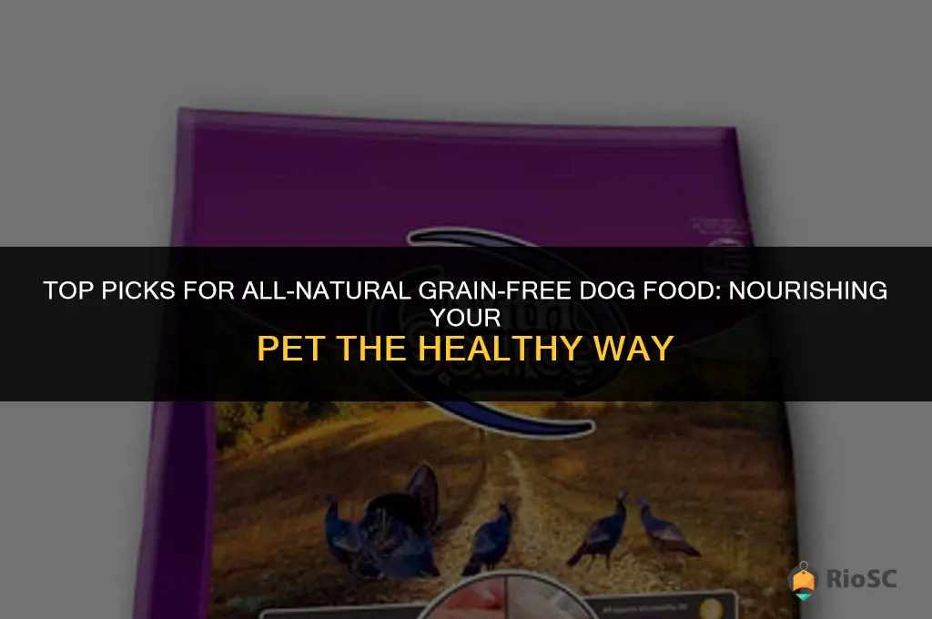 Curated visual reference: Visual Reference: Top Picks For All Natural Grain Free Dog Food Nourishing