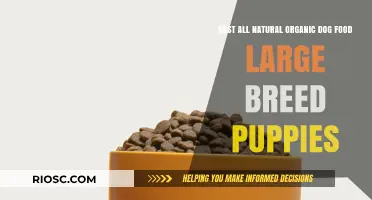 Nourishing Growth: Top All-Natural Organic Dog Foods for Large Breed Puppies