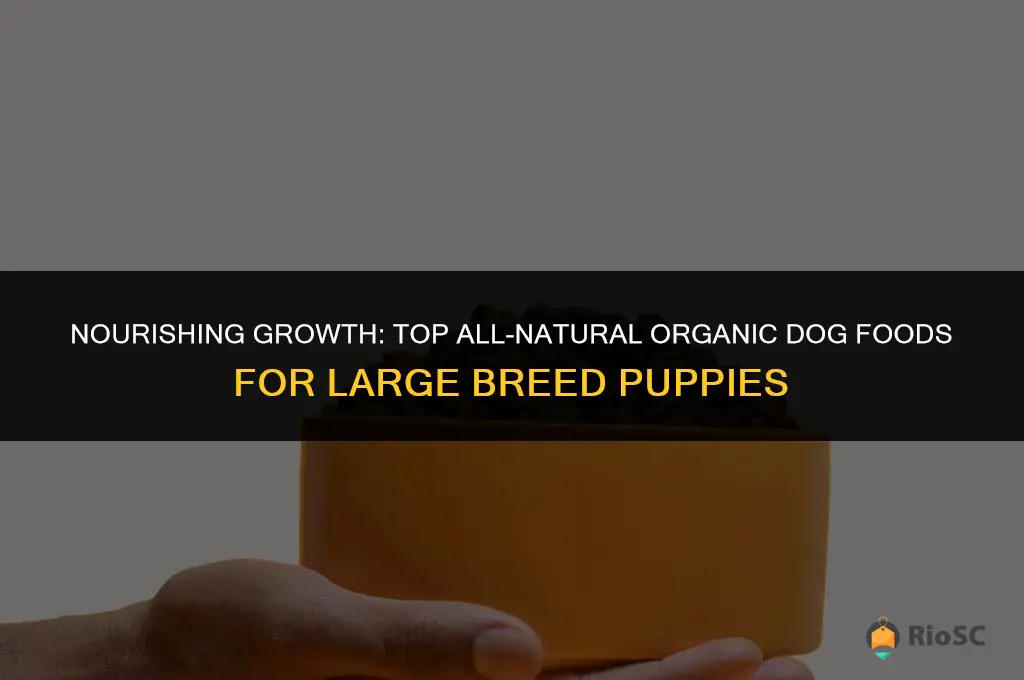 best all natural organic dog food large breed puppies