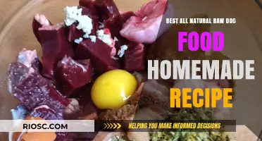 Wholesome Bites: Crafting the Perfect All-Natural Raw Dog Food at Home