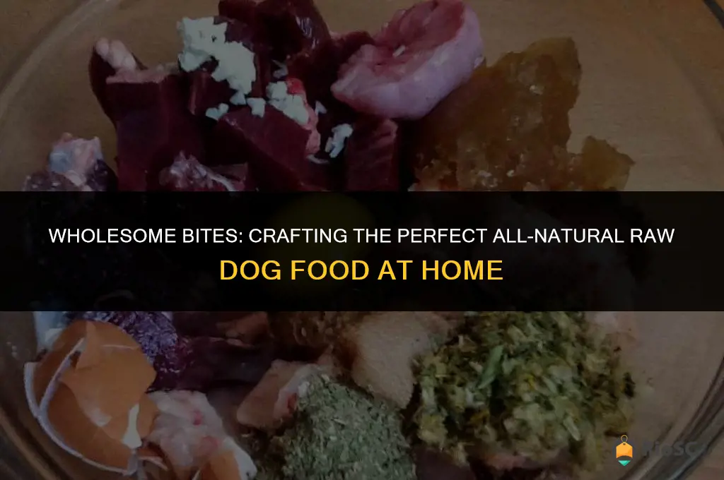 best all natural raw dog food homemade recipe