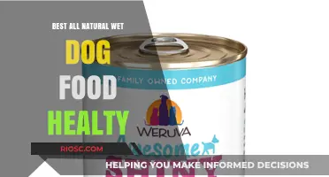 Nourish Your Furry Friend: Top Picks for All-Natural Wet Dog Food