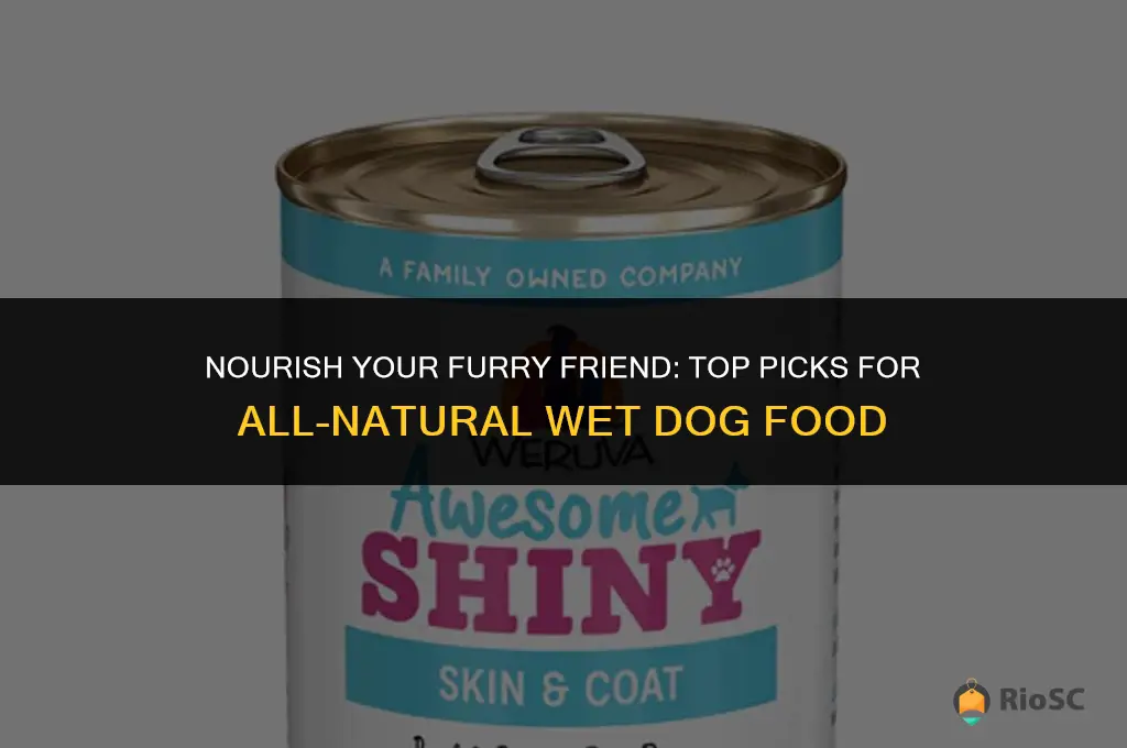 best all natural wet dog food healty