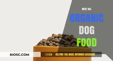 Top Picks for Your Furry Friend: The Best All-Organic Dog Foods on the Market