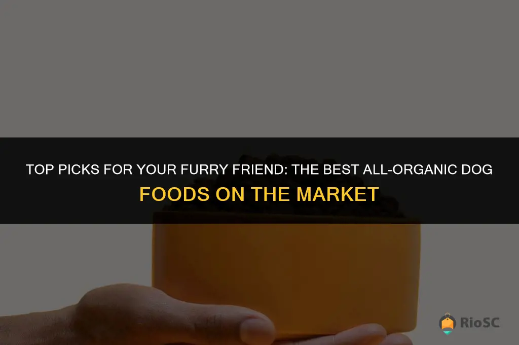 best all organic dog food