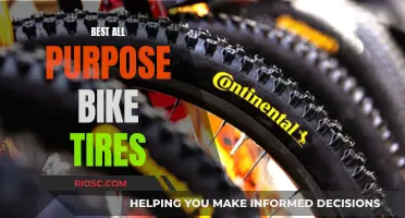 The Ultimate Guide to All-Purpose Bike Tires: Finding the Perfect Balance for Every Ride