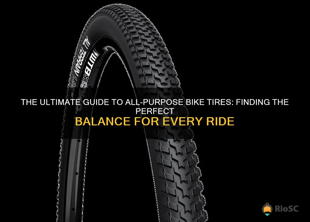 best all purpose bike tires