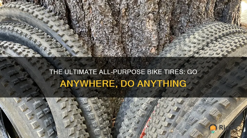 best all purpose bike tires