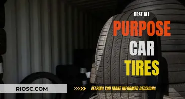 Finding the Perfect Set: Choosing the Best All-Purpose Car Tires