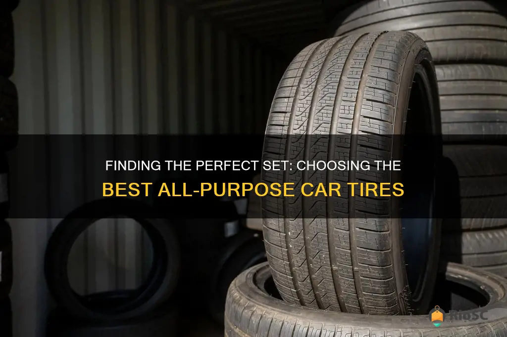 best all purpose car tires