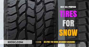 Top-Rated All-Purpose Tires for Snow: Stay Safe and Mobile in Winter Conditions
