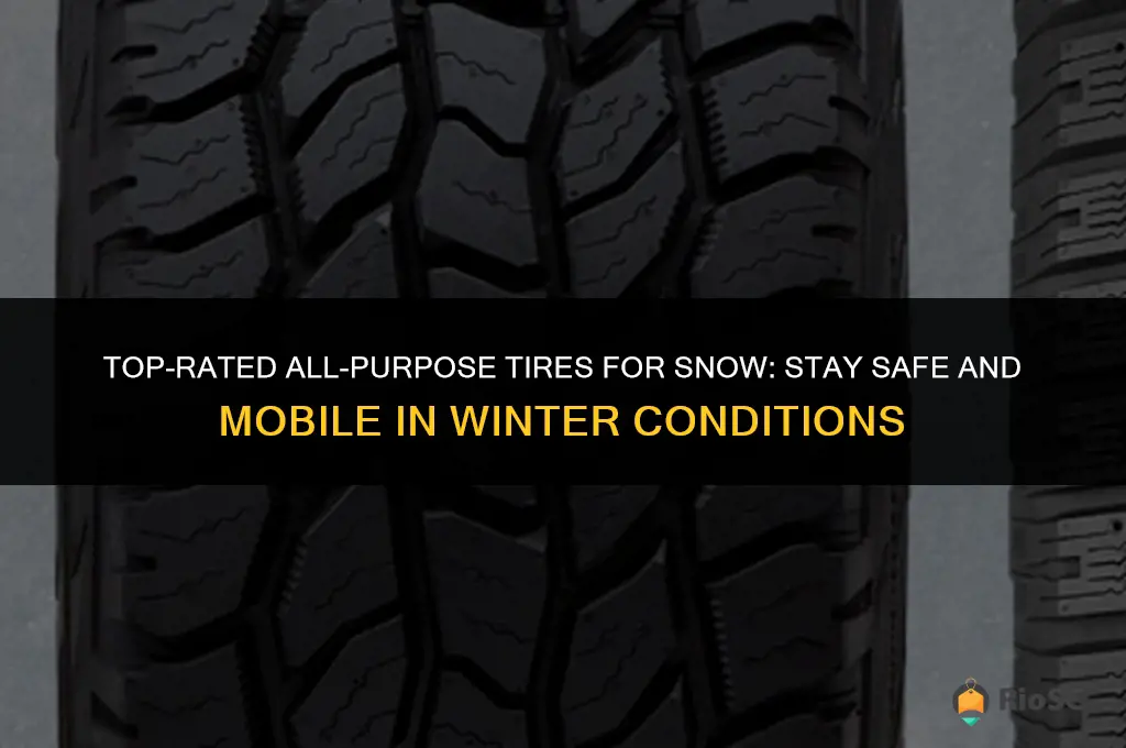 best all purpose tires for snow