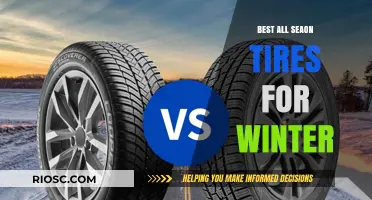 Top All-Season Tires for Winter: Stay Safe and Stylish on the Road