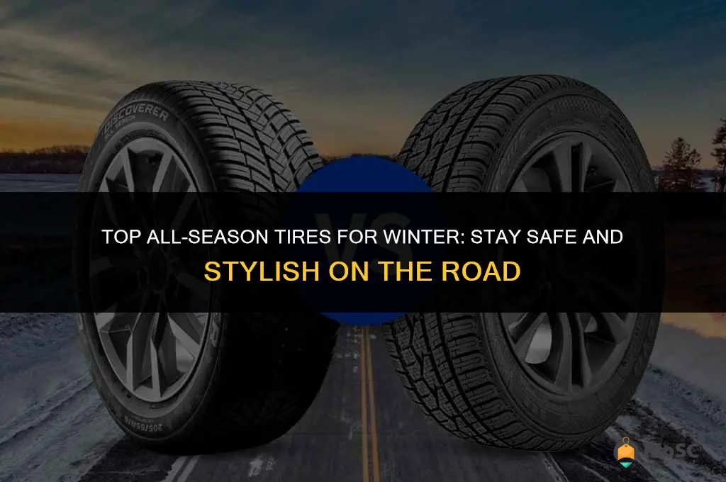 best all seaon tires for winter