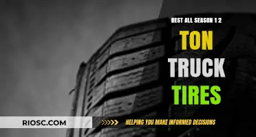 Top All-Season 1-Ton and 2-Ton Truck Tires for Year-Round Performance and Durability
