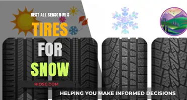 Top All-Season MS Tires for Snow: Stay Safe and Mobile Year-Round