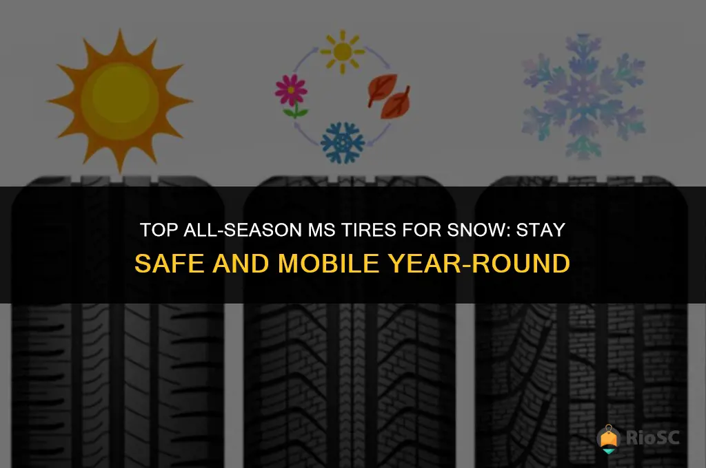 best all season m s tires for snow