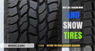 Top Picks for All-Season Mud and Snow Tires: Stay Safe and Secure on Any Road