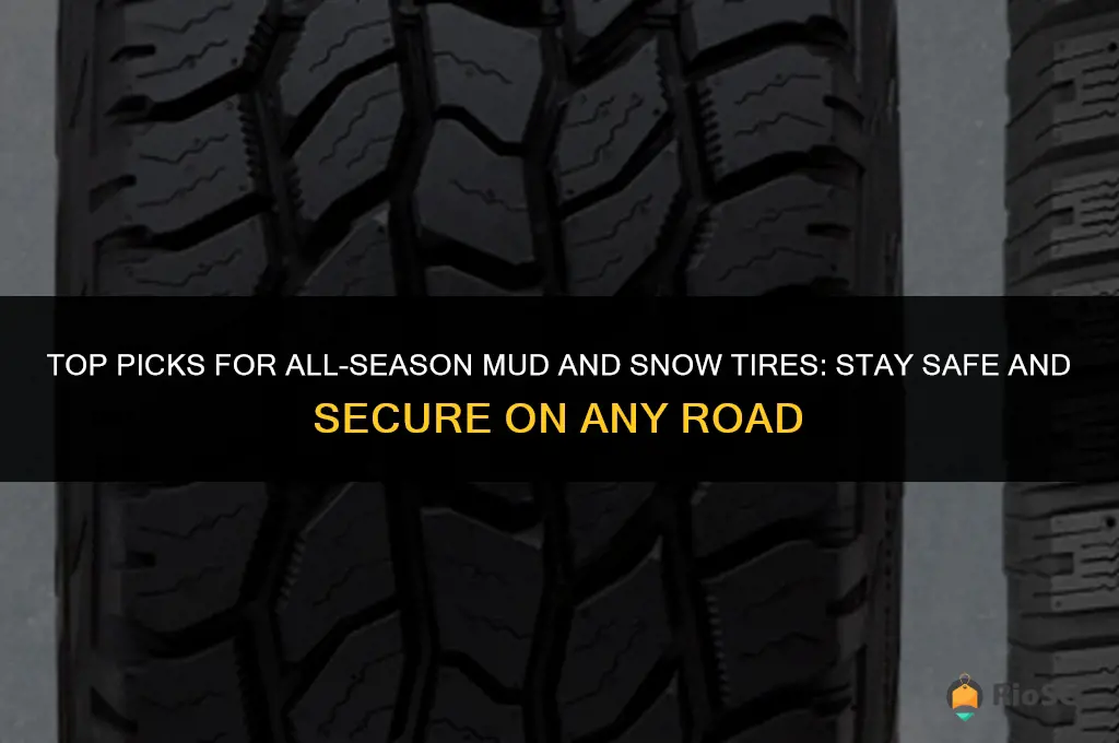 best all season mud and snow tires