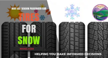 Top Picks for All-Season Passenger Car Tires in Snowy Conditions